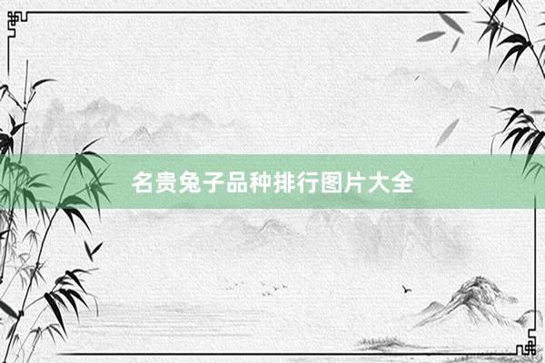 名贵兔子品种排行图片大全